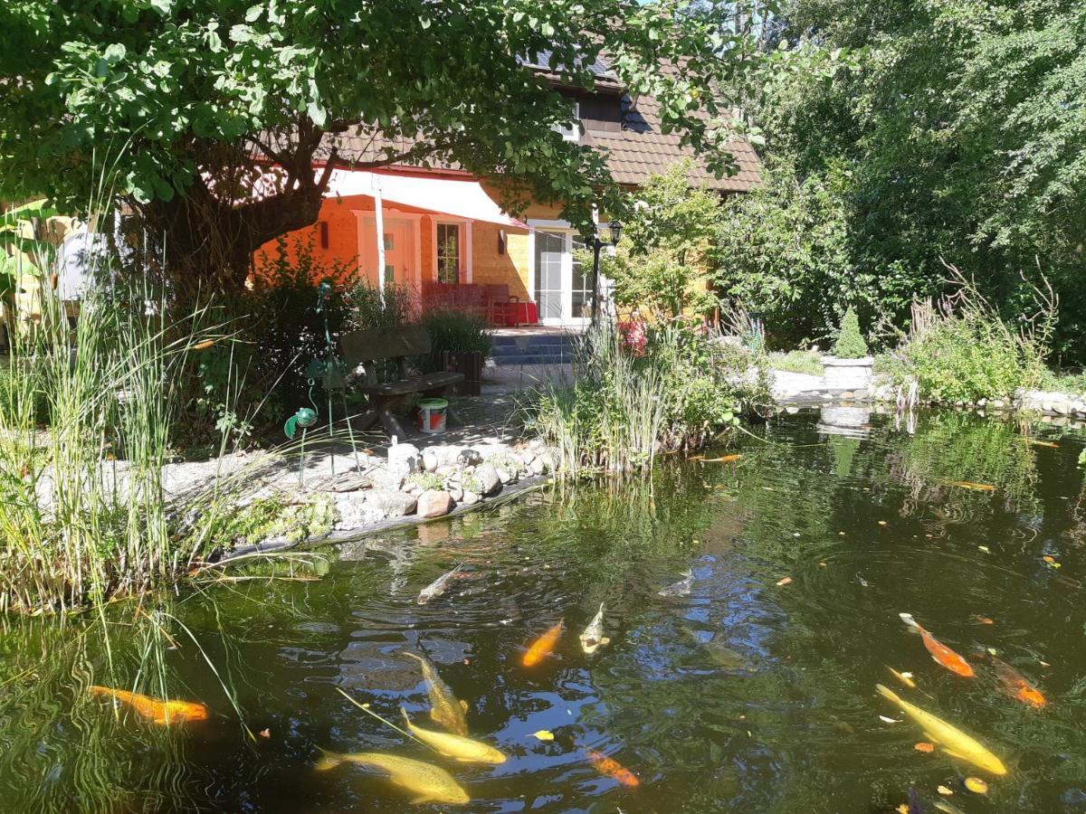 Salus Spreewald - Erholung & Natur - Kolonie  外观 照片